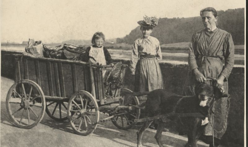 Historische Fotografie Otto Ehrhardt "Letzte Botenfrau zwischen Coswig und Meißen - Frau Bernhardt"