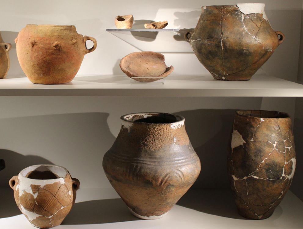 Raumeinführung – Archäologische Funde aus Coswig