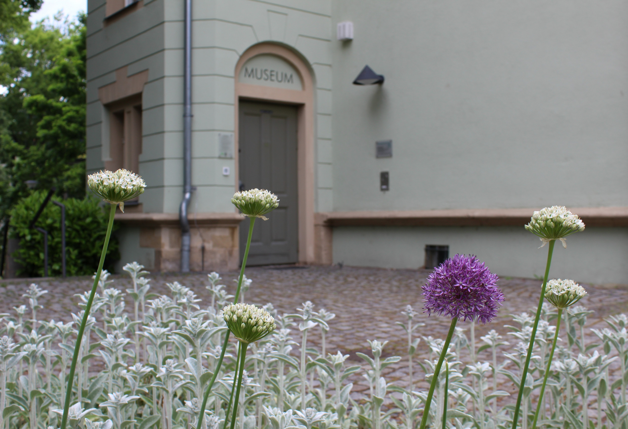 Außenansicht Blumen im Vordergrund - Museumseingang im Hintergrund
