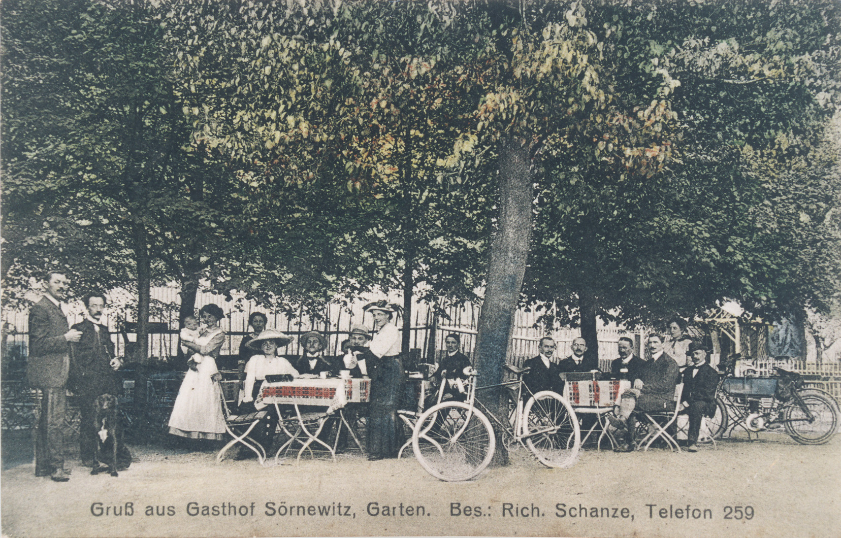 Alte Postkarte, Café-Szene unter Bäumen in Sörnewitz, leicht koloriert